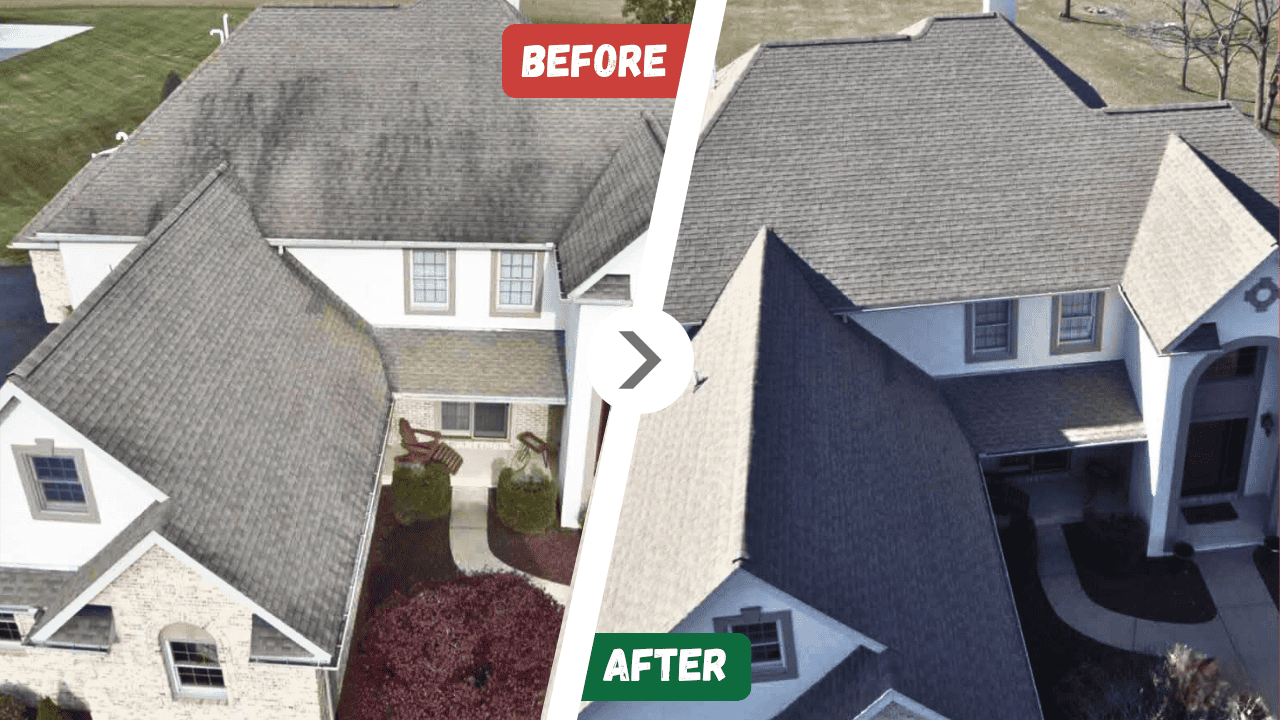 Before and after Roof Cleaning